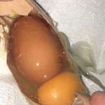 image for One of our chickens just laid a jumbo egg with another egg inside