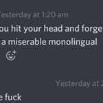image for monolinguals are miserable now i guess