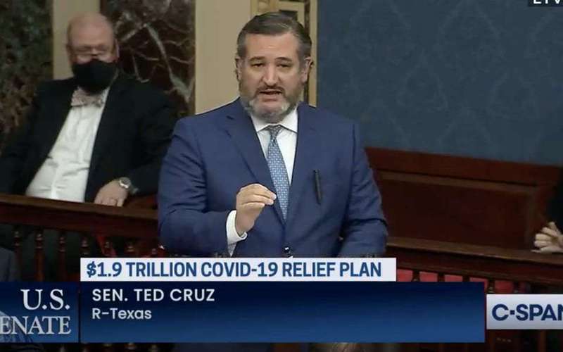 image for Ted Cruz's claims about undocumented people getting $1,400 stimulus checks were shot down by Dick Durbin as 'just plain false'