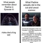 image for Padme did so much and it was mostly cut from the movie :(