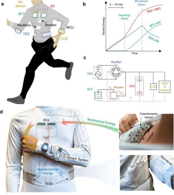 image for A self-sustainable wearable multi-modular E-textile bioenergy microgrid system