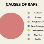 image for The causes of rape