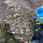 image for My son and I found this tree stump hammered with coins. (North West England)