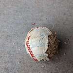 image for Cleaned out the attic and discovered rats had eaten my 81 Dodgers baseball. Fernando, LaSorda, Stewart, Sax, Koufax... Damn.