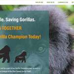 image for Dian Fossey Gorilla Fund has updated their frontpage with "APES STRONG TOGETHER". 🦍🦍🦍🦍🦍