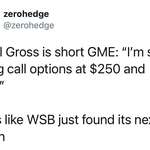 image for Bill Gross is short GME. Selling $250 and $300 calls.