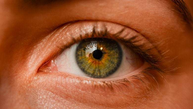image for 50 new genes for eye colour
