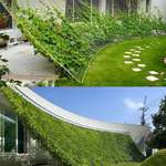 image for GREEN SCREEN HOUSE Design by Hideo Kumaki Architect office