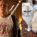 image for In Deadpool 2 (2018), Wade wears a shirt that says: "Olivia & Meredith. Best Friends Purrrr-ever". The two cats actually belong to Taylor Swift. The production crew had to get permission from her to use their image.