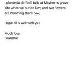 image for My cat, Mayhem, unexpectedly died about eight months ago. Since I rent, I didn’t have anywhere to bury him and I was too heartbroken to really deal with it. My 86-year-old grandma ended up volunteering to bury him out on her farmland. She sent me this email today.