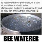 image for Help keep our dwindling bee friends hydrated this summer!