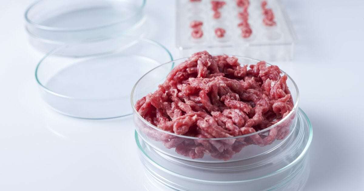 image for Cultivated Meat Projected To Be Cheaper Than Conventional Beef by 2030