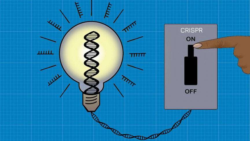 image for CRISPR Breakthrough: Scientists Can Now Turn Genes On and Off at Whim