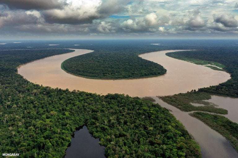 image for Peru to establish rainforest reserve for isolated Indigenous peoples