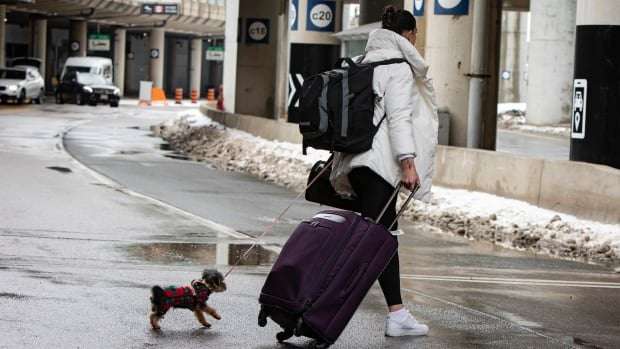 image for More than 200 travellers fined for refusing to quarantine in hotels after landing in Canada