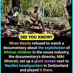 image for Ensuring that Nestlé know the negative impact their companies have on thousands of African children