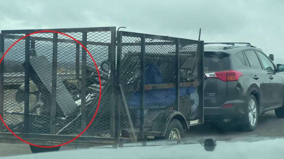 image for VIDEO: Investigation underway after dog was seen struggling in the back of a trailer on I-25 in Colorado Springs