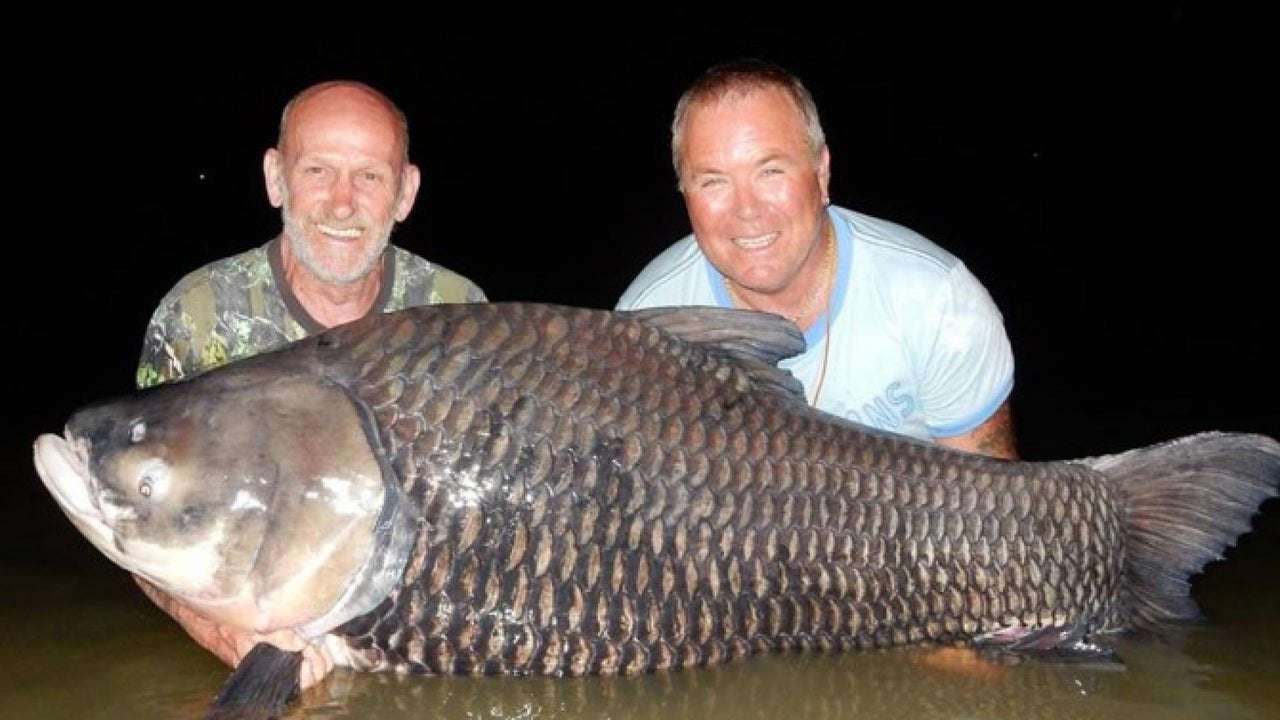 image for Fishermen Use Dead Friend's Ashes to Catch 180-Pound Carp in His Memory