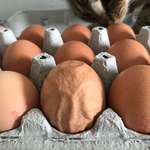 image for One of the eggs I bought was all wrinkly