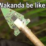 image for Wakanda Forever