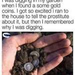 image for Found some gold coins in my backyard!
