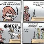 image for The Manager
