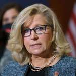 image for Petition to make Liz Cheney the official picture for this sub