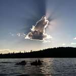 image for All dogs go to heaven