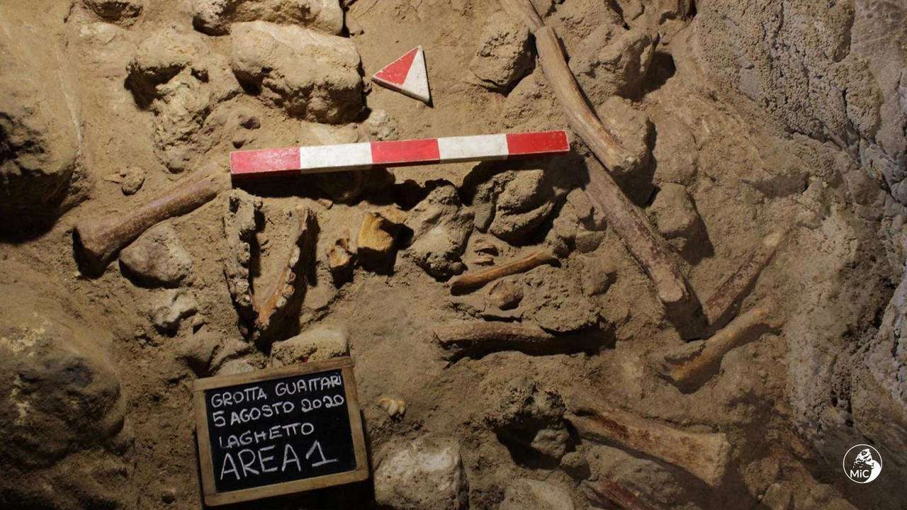 image for Evidence of nine Neanderthals found in Italian cave