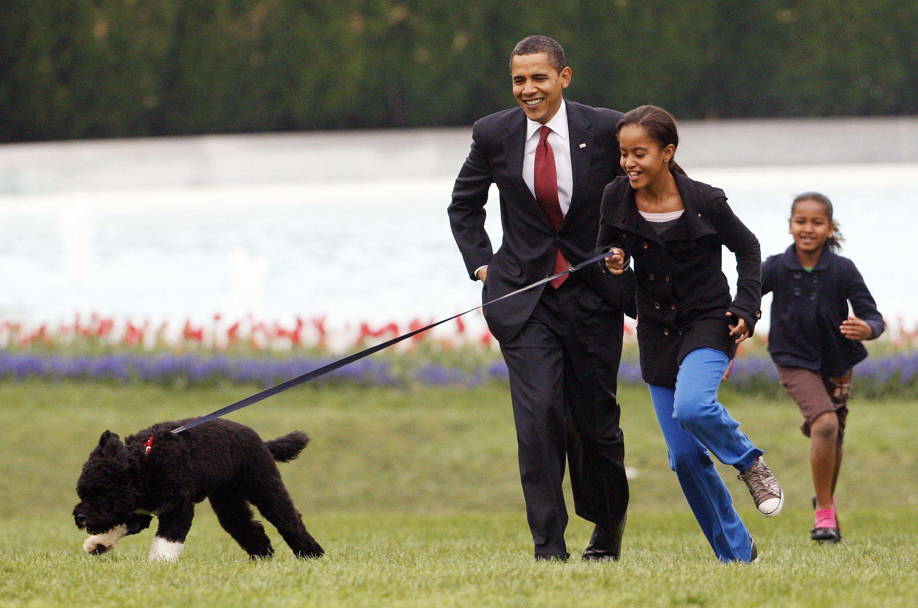 image for Obama dog Bo, once a White House celebrity, dies from cancer