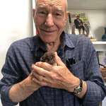 image for Sir Patrick Stewart and a one week old puppy ❤️