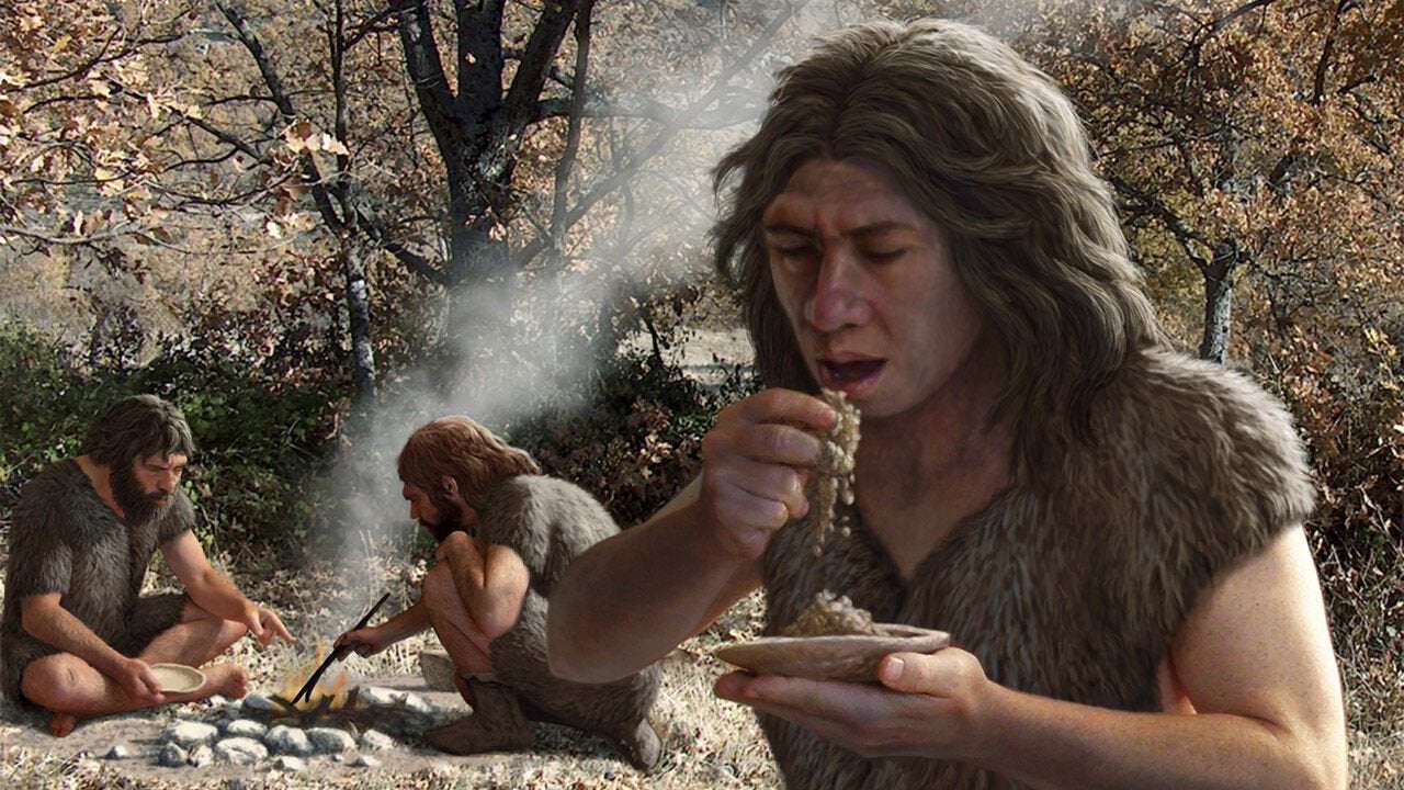 image for Neanderthals carb loaded, helping grow their big brains