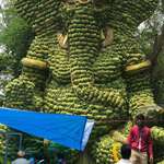 image for A 25-feet statue of a Hindu God (Ganesha) is hand made out of bananas