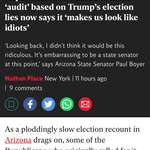image for Republican who backed Arizona ‘audit’ based on Trump’s election lies now says it ‘makes us look like idiots’