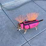 image for A chihuahua wearing a anti hawk and coyote vest
