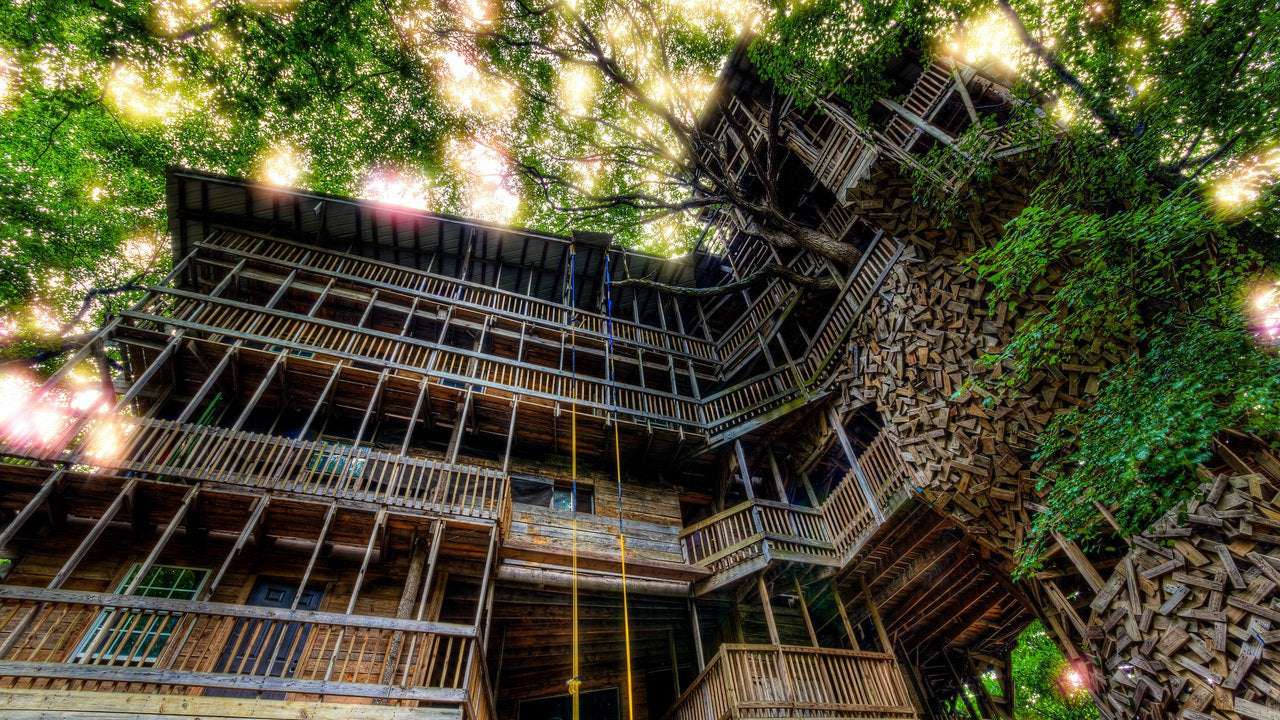 image for The World’s Largest Treehouse Burned to the Ground in Less Than 15 Minutes