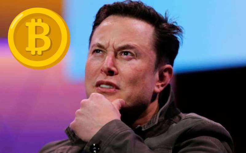 image for Elon Musk Effect on Cryptocurreny? How Tesla CEO Moves Bitcoin, Dodgecoin with Just a Tweet