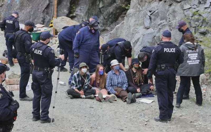 image for Arrests on Vancouver Island over old-growth logging blockades tally 33 on Saturday