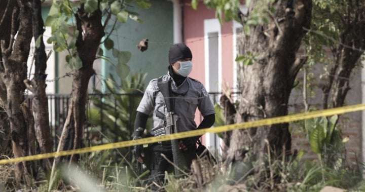 image for Up to 40 bodies, mostly women, found buried on ex-cop’s property in El Salvador