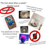 image for “My fish died after a week” starter pack: