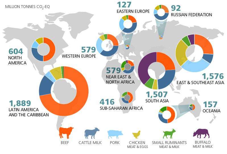 image for Efficient meat and dairy farming needed to curb methane emissions, study finds