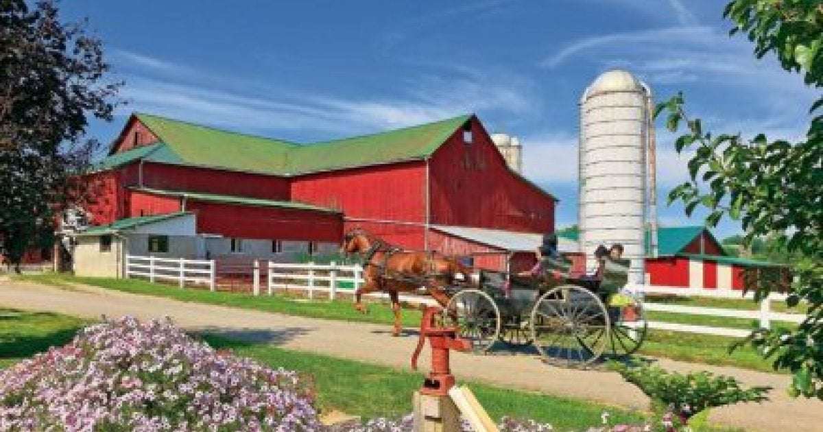 image for Why are barns painted red?