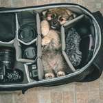 image for Only packing the essentials!