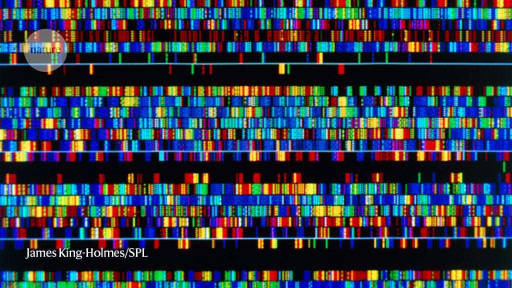 image for A complete human genome sequence is close: how scientists filled in the gaps