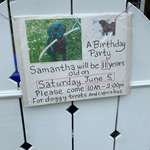 image for an elderly neighbor of mine is throwing a birthday party for his dog