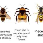 image for Fuck wasps.