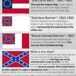 image for The History of Confederate Flags