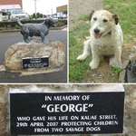 image for George the protector, if he's around then you'll be safe