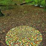 image for Making a mosaic with autumn leaves
