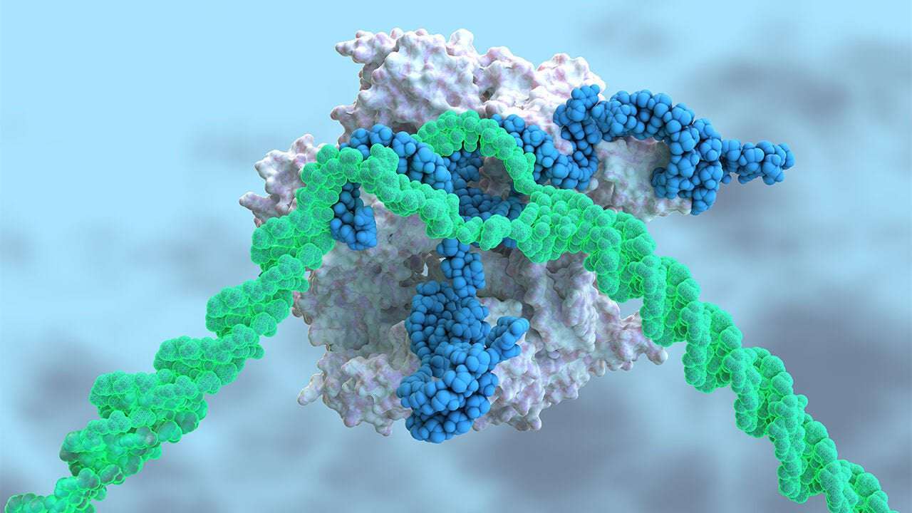 image for CRISPR injected into the blood treats a genetic disease for first time